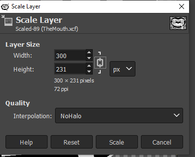 Scale Layer 2