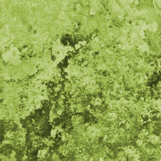 Texture Loric